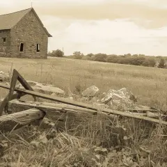 Dawny pług: Jak zmieniał się przez wieki? Historia i ciekawostki