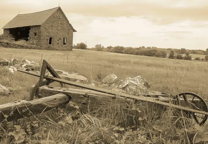 Dawny pług: Jak zmieniał się przez wieki? Historia i ciekawostki