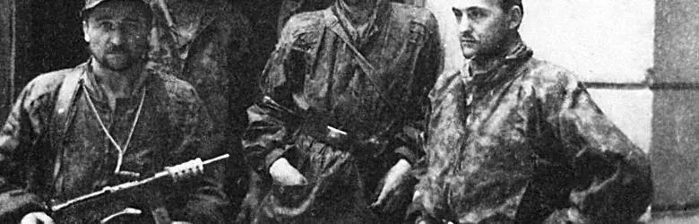 Batalion Parasol: Elitarna jednostka AK w akcji. Historia oddziału